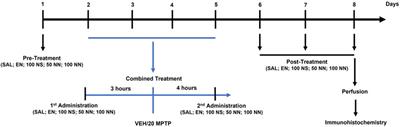 Characterization of Nasco grape pomace-loaded nutriosomes and their neuroprotective effects in the MPTP mouse model of Parkinson’s disease